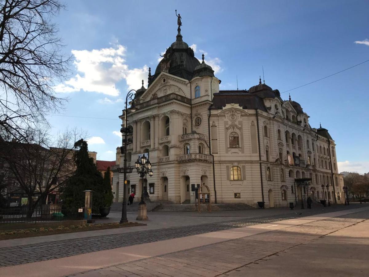 Luxury Vincents Apartments Koszyce Zewnętrze zdjęcie